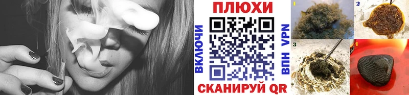 продажа наркотиков  Камызяк  ГАШ hashish 