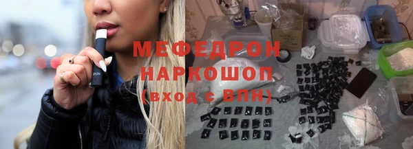 шишки Новодвинск