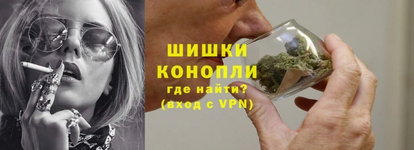 шишки Новодвинск