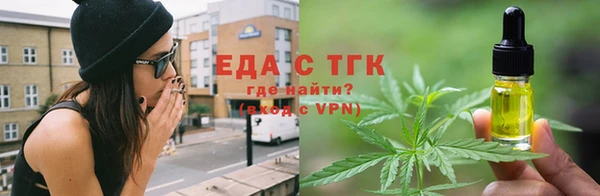шишки Новодвинск