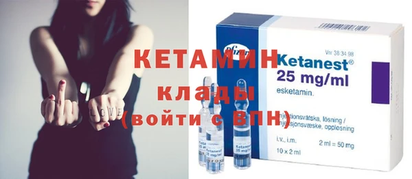 шишки Новодвинск