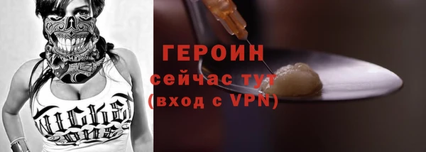 шишки Новодвинск