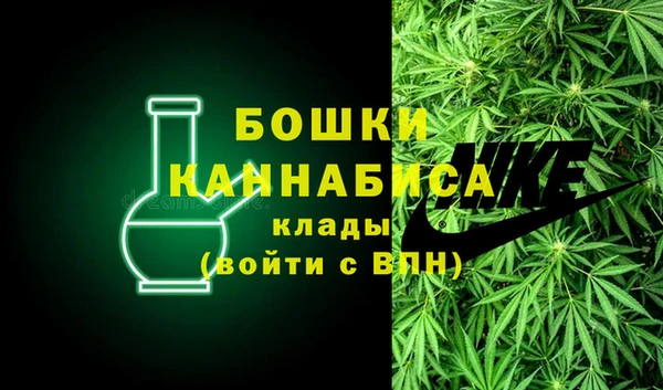 шишки Новодвинск