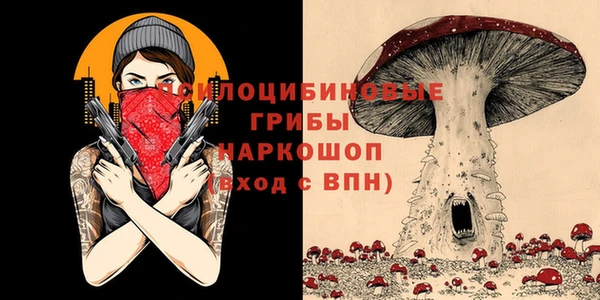 альфа пвп Новозыбков