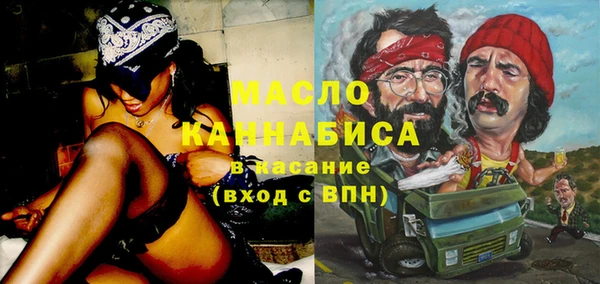шишки Новодвинск