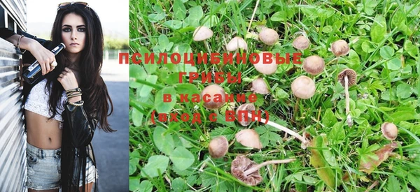альфа пвп Новозыбков