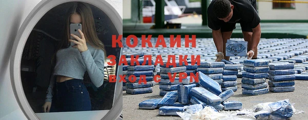 шишки Новодвинск