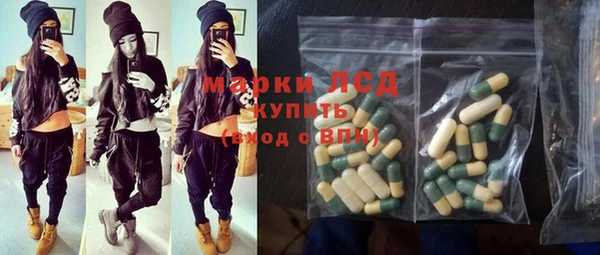 индика Тихвин