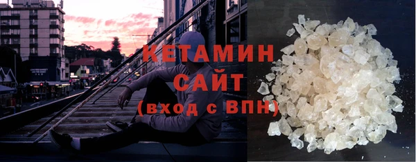 шишки Новодвинск