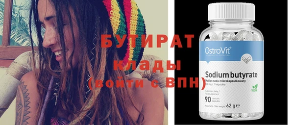 шишки Новодвинск