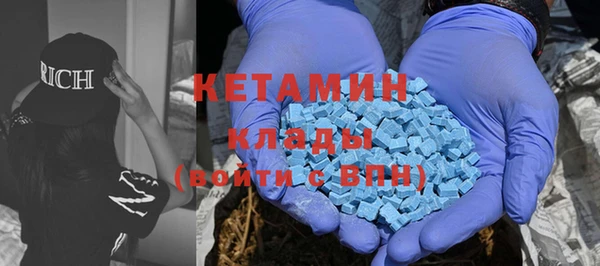 шишки Новодвинск