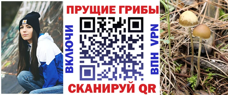 Псилоцибиновые грибы GOLDEN TEACHER  Камызяк 